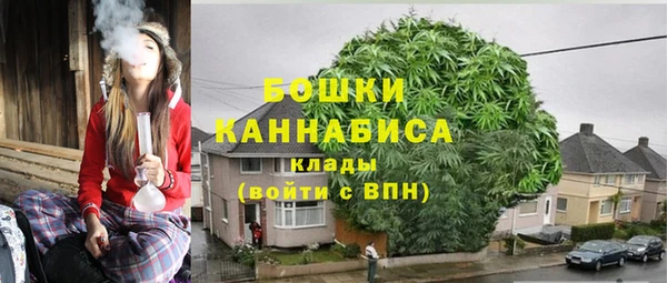 дурь Ельня