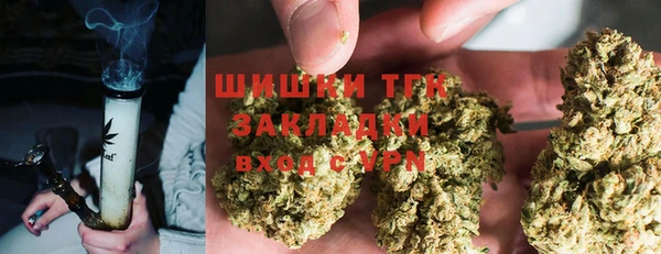 трава Нязепетровск
