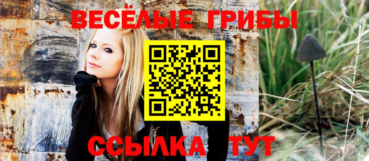 Галлюциногенные грибы прущие грибы Ртищево