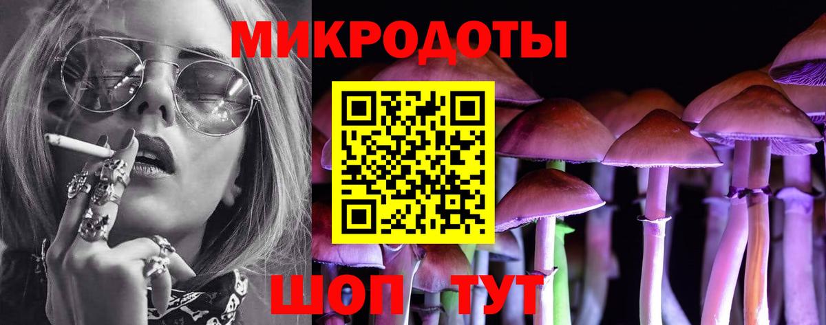 Псилоцибиновые грибы Psilocybine cubensis Ртищево